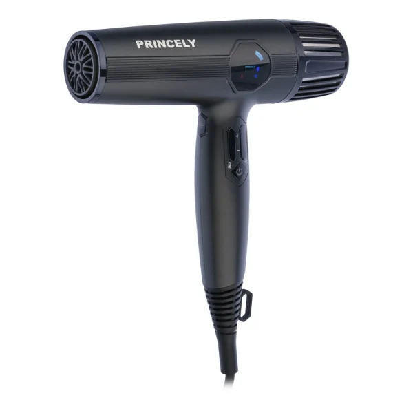 سشوار پرینسلی مدل PR280AT